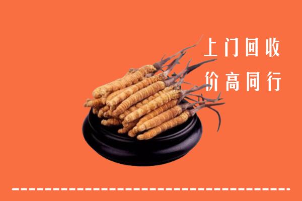 高价求购：策勒县回收散虫草